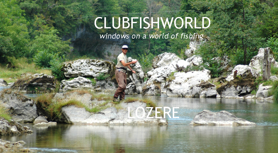 Stalking the Zebras…fly fishing for trout in the south of France - Lozere